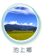池上鄉景點